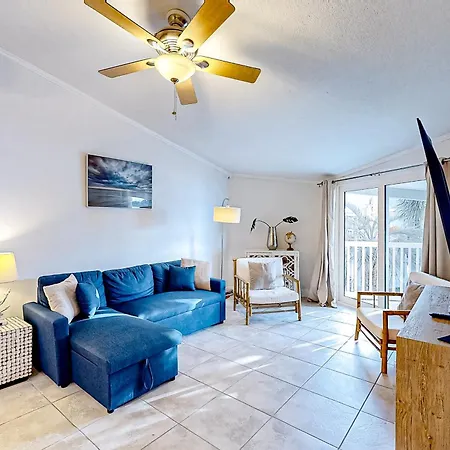 Sand Dollar E201